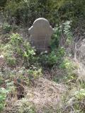image of grave number 435293